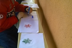 WP_20151219_11_37_37_Pro