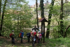 SDC10035