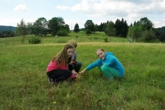 WP_20150919_16_20_20_Pro