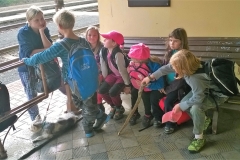 WP_20151003_15_33_15_Pro