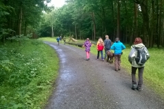 WP_20150620_10_21_09_Pro
