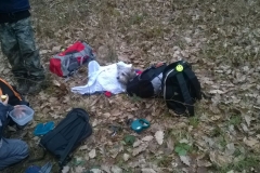 WP_20150214_12_05_59_Pro