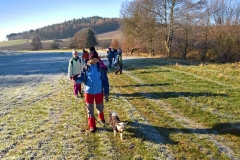 WP_20161203_11_39_18_Rich_LI