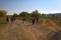 WP_20181013_13_50_23_Rich_LI