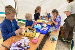 0789_IMG_4796