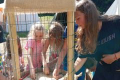 IMG_20240801_161516